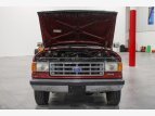 Thumbnail Photo 75 for 1991 Ford Bronco